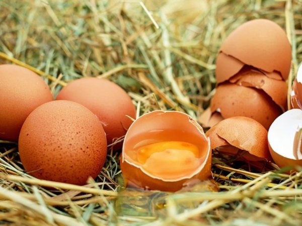 Белтъци&nbsp;
Можете да консумирате яйчен белтък всеки ден. Тази храна е полезна за тези от вас, които следват по-строг хранителен режим. Може да си приготвите омлет с тях, като към него да прибавите и няколко парчета домат. Но не използвайте мазнина, ако наистина искате да редуцирате телесното тегло.&nbsp;Снимка:&nbsp;pixabay