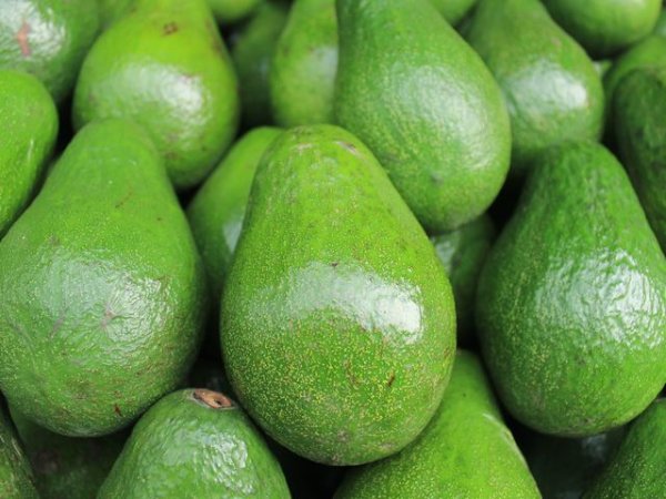 АвокадоАвокадото също е много богато на калий. В 100 г авокадо се съдържат приблизително 485 мг. На ден човек се нуждае от около 4 грама калий. Така че авокадото е наистина добър източник на важния минерал.&nbsp;Снимка: unsplash