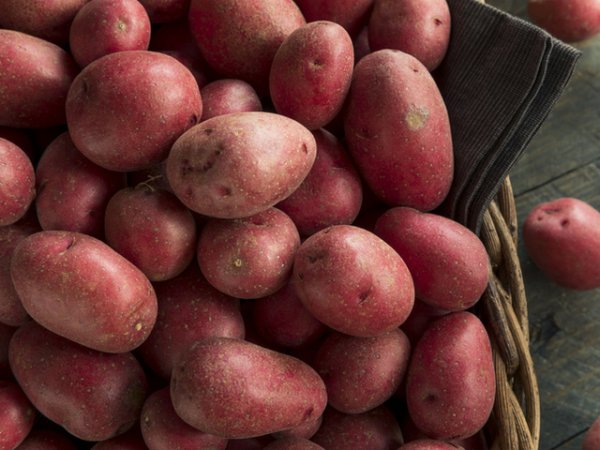 Червен картоф&nbsp;Червеният картоф е много богат на растителни протеини, фибри, витамин В6, които вкупом насърчават метаболизма и редица важни функции в организма. Снимка: istock