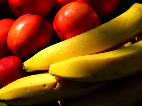 Банани
Бананите са едни от най-популярните и най-често консумирани плодове. Вкусни и бърз източник на енергия, те могат да отклонят лошия късмет от вас. Но е важно да не режете банана, а да го разчупвате на малки парчета, тъй като рязането носи лош късмет. Също така, ако планирате пътуване с яхта, лодка, не взимайте на борда банани.&nbsp;Снимка: pixabay