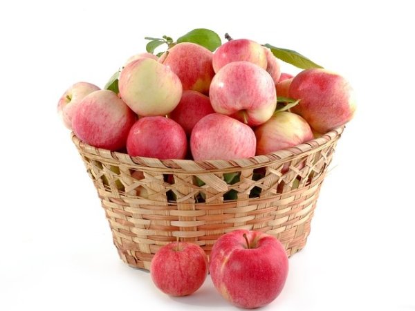 Ябълки и круши
Ябълките са едни от най-полезните плодове. Западно проучване, в което са взели участие приблизително 35 000 жени установява, че консумацията на ябълки и круши е свързана с по-нисък риск от сърдечни заболявания. Ключовите компоненти в тези плодове са фибри, витамин С, пектин и полифеноли, които се свързват с това, че имат противовъзпалителни ефекти и спомагат за увеличаване на полезните бактерии в червата. Знаем, че здравето на храносмилателната система е от съществено значение за силния имунитет и общото здравословно състояние. Снимка: pixabay
