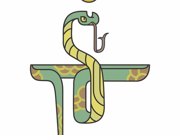 Змия (1929, 1941, 1953, 1965, 1977, 1989, 2001, 2013)
Ако вашият китайски зодиакален знак е този на Змията, то носете като аксесоар или внесете в дома си сапфир, аметист и карнелиан. Сапфирът се използва за насърчаване на положителната енергия, възстановяване на силите, баланс на нервната система, аметист &ndash; за по-малко стрес и карнелиан &ndash; за повишаване на самочувствието.&nbsp;Снимка: pixabay