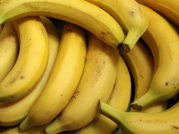 Банани
В дните, в които сме решили да се разтоварим от вредните въглехидрати, бананите са здравословен вариант да си набавим полезни такива. Освен това са богати на калий, който спомага за баланса на натрия в организма. Празничната трапеза обикновено предлага богато на натрий меню. Снимка: pixabay