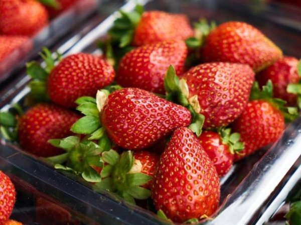 Ягоди
Чаша нарязани ягоди съдържа 98 милиграма витамин С. Ягодите имат малко захар, но са чудесен източник на антиоксиданти и минерали като калий и калций. Подходящи за диета, грижат се за здравето на червата, сърцето и кожата.&nbsp;Снимка: pexels