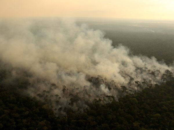 Пожари в Амазонската джунгла.&nbsp;Снимка: Reuters