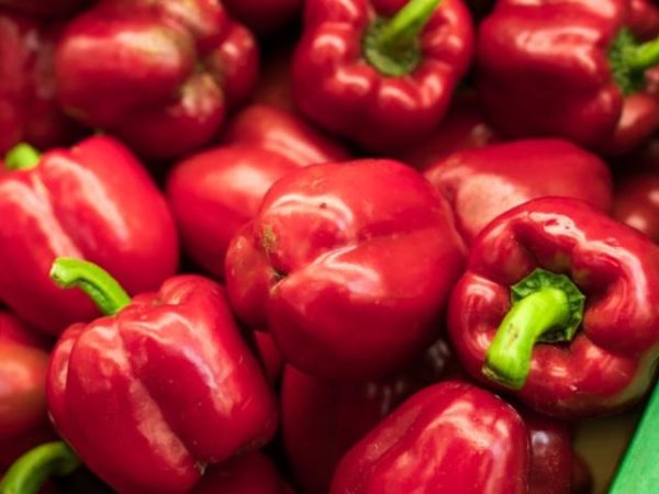 Червени чушки
Червените чушки са полезни зеленчуци за бъбречното здраве, тъй като са с ниско съдържание на калий. Консумацията им ни осигурява&nbsp;витамини С, В6, А, фолиева киселина и фибри.&nbsp;Богати са на антиоксидант наречен ликопен, който намалява риска от развитието на някои видове рак.&nbsp;Снимка: pexels