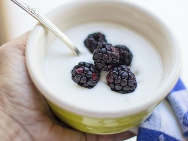 Кисело млякоТо е един от най-добрите източници на пробиотици сред храните. Добрите млечни и кисели бактерии подобряват храносмилането, кръвното налягане, повишават имунитета и балансират настроението. В допълнение киселото мляко дава усещане за ситост и важни протеини.&nbsp;Снимка: pixabay