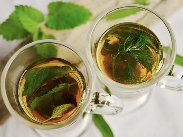 Чай от мента
По-силното главоболие може да предизвика коремни болки, гадене. Според западни проучвания, чаят от мента може да помогне за намаляване на главоболието, но също така и да намали риска от повръщане или позиви за такова в резултат на мигрена. Този чай насърчава и спокойния сън.&nbsp;Снимка: pixabay