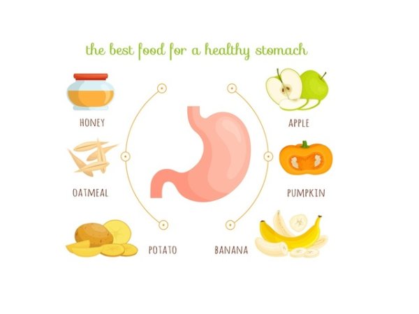 За здрав стомах
Едни от любимите храни на стомаха са мед, ябълки, картофи, овесени ядки, тиква, банани. Те подпомагат доброто храносмилане.&nbsp;&nbsp;Илюстрация: istock