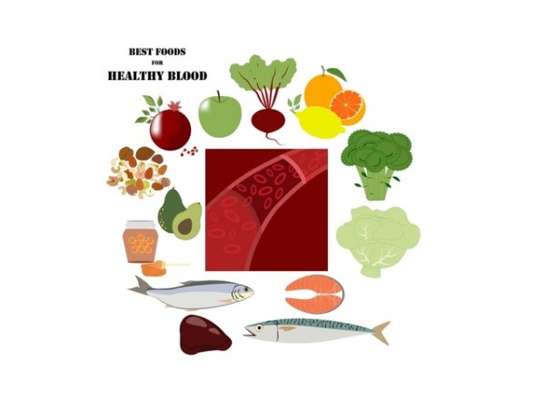 За добро кръвообращение и здрави кръвоносни съдове
Храните, с които ще намалите образуването на плаки в съдовете са пресни плодове и зеленчуци, като не пропускайте червено цвекло, риба, черен дроб, ядки, мед, авокадо.&nbsp;&nbsp;Илюстрация: istock