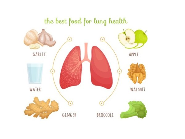 За белите дробове
Дишайте по-добре, хапвайки чесън, джинджифил, ядки, свежи плодове и зеленчуци. Пийте и достатъчно вода.&nbsp;Илюстрация: istock