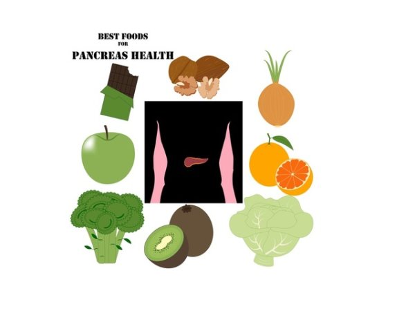 За панкреаса
Задстомашната жлеза е един от най-важните органи в човешкото тяло. Полезните храни за него са орехи, зеле, лук, ябълки, по малко тъмен шоколад, киви, броколи, портокали.&nbsp;&nbsp;&nbsp;Илюстрация: istock