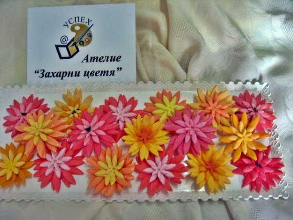 Жизнерадостни багри в захарните цветя