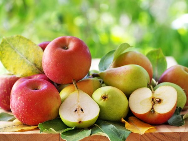 ЯбълкиЯбълките са сред най-издръжливите плодове. Въпреки това обаче е по-добре да бъдат съхранявани в хладилник. Това удължава свежестта им до няколко седмици.&nbsp;Снимка: istock