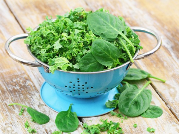 Спанак и къдраво зеле&nbsp;Спанакът и къдравото зеле (кейл) са сред най-богатите на антиоксиданти зеленчуци. Освен тях те съдържат още изобилие от витамините А, К и С, които по същество също са антиоксиданти. Спанакът, като повечето тъмнозелени листни зеленчуци, е и много богат източник на лутеин и зеаксантин &ndash; антиоксиданти, от които зрението се нуждае.&nbsp;Снимка: istock