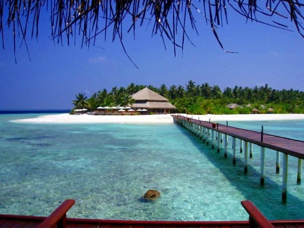 Малдиви
Снимка: Wikimedia Commons 