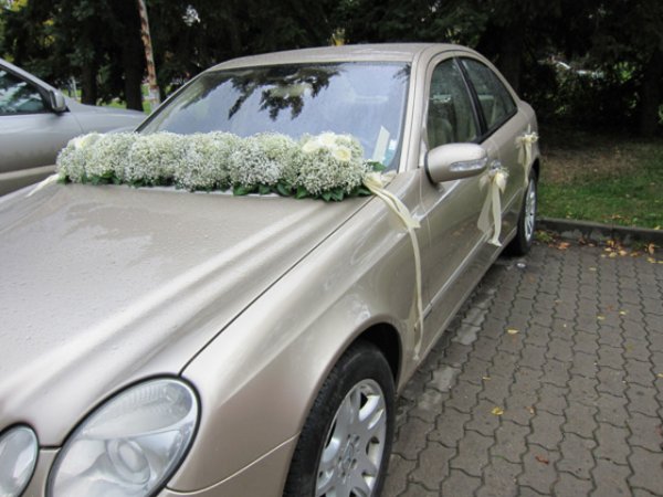 Белите цветя са най - често използвани за украса на булченските коли.