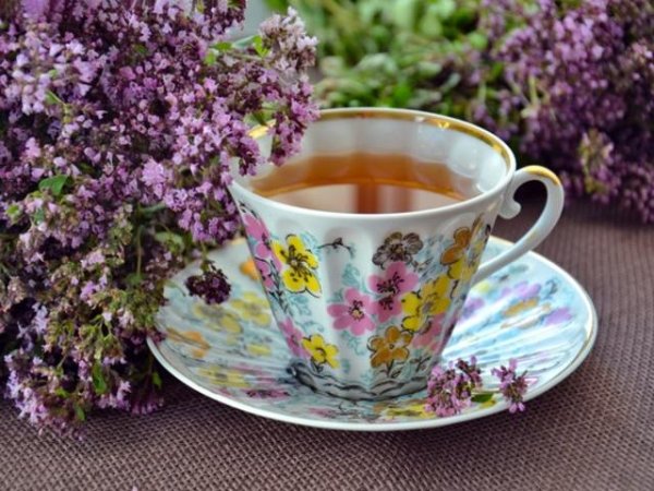 Чайове за нулева кръвна група
Ако вашата кръвна група е нулева, вероятно често страдате от киселинен рефлукс. Добавете към менюто си чай от джинджифил. Тази полезна напитка ускорява метаболизма, успокоява стомашните неразположения, болките в корема, гаденето. Може да редувате джинджифиловия чай със зелен чай сенча, който е богат и на много антиоксиданти. Снимка: pexels