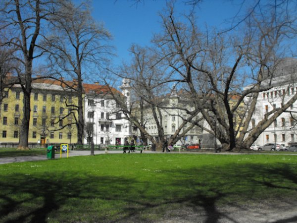 Столицата на Словения - Любляна, привлича туристите освен с красива
природа, и с чистотата на града. От две години в Словения е забранено
пушенето на обществени места, както подхожда на една европейска столица.
На снимката виждате един от градските паркове на Любляна. 