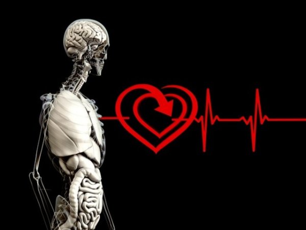 Предотвратяват сърдечните заболяванияАнтиоксидантите, мононенаситените мазнини, магнезият и медта в бадемите подпомагат функцията на &nbsp;сърцето и кръвоносните съдове. Ето защо, за да имате здраво сърце, хапвайте по 4 бадема на ден. Снимка: pixabay