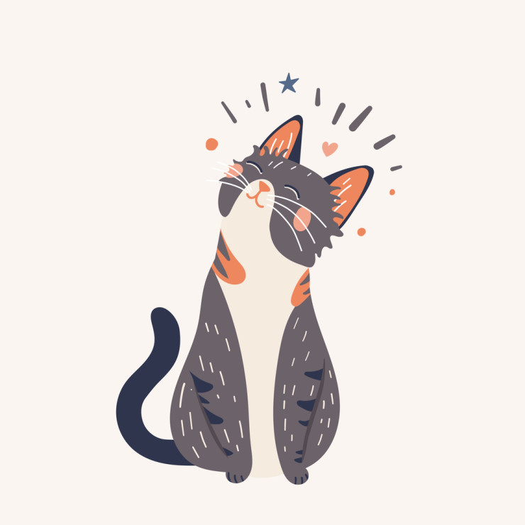 Котка